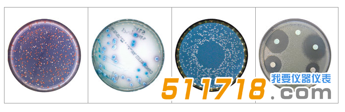 法国interscience Scan 500全自动菌落计数器1.png