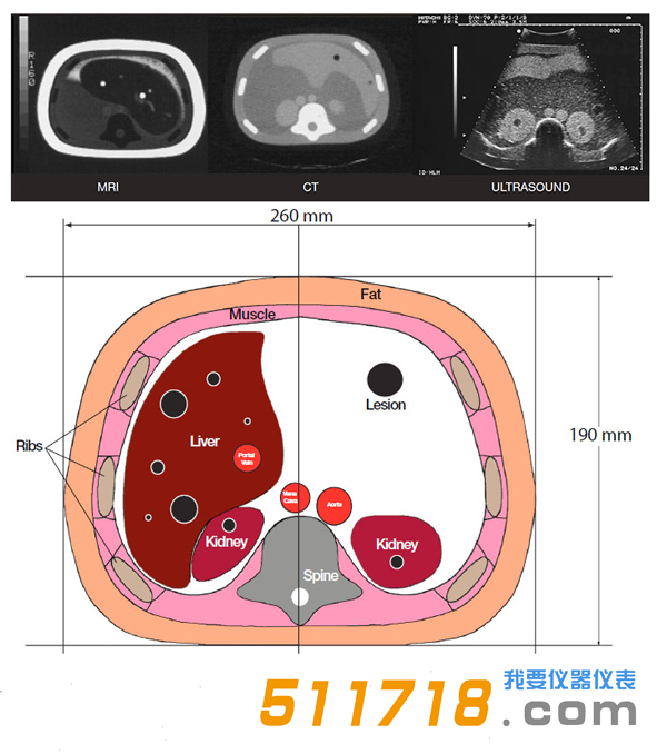 美国CIRS 057A三维腹部模体1.png